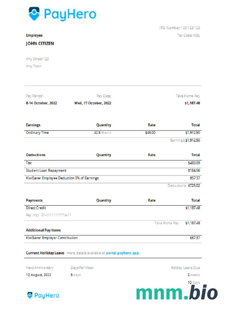 USA payhero financial company pay stub